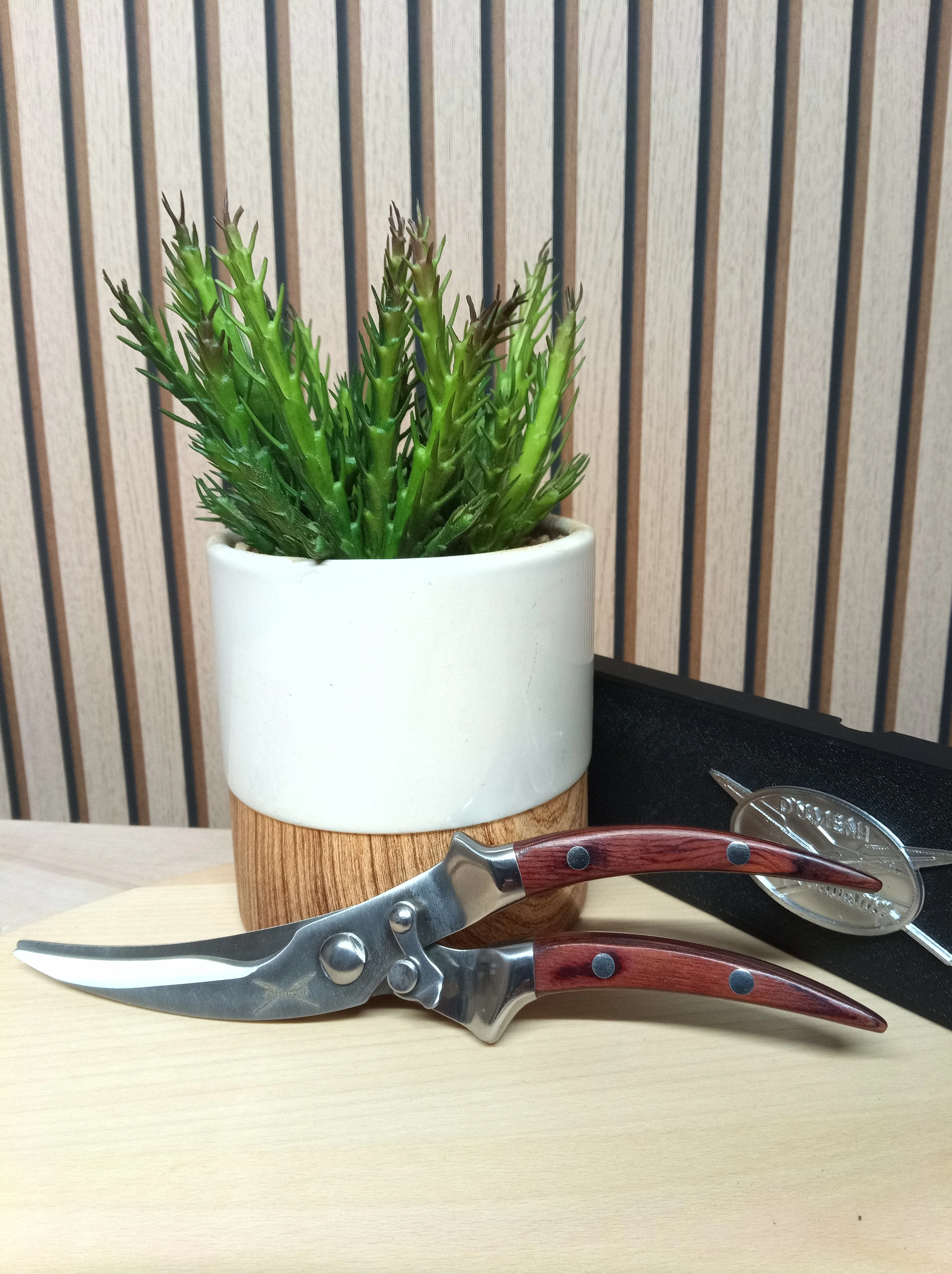 Dumeni Stainless Steel Biltong / kitchen Shears with Wooden Handles - Image 21